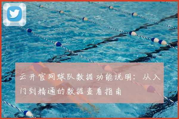 云开官网球队数据功能说明:从入门到精通的数据查看指南