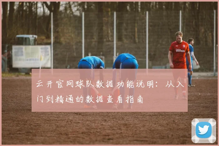 云开官网球队数据功能说明：从入门到精通的数据查看指南