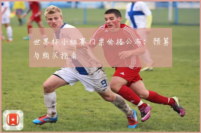 世界杯小组赛门票价格公布：预算与购买指南