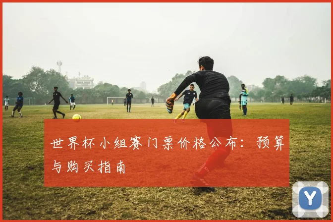 世界杯小组赛门票价格公布：预算与购买指南